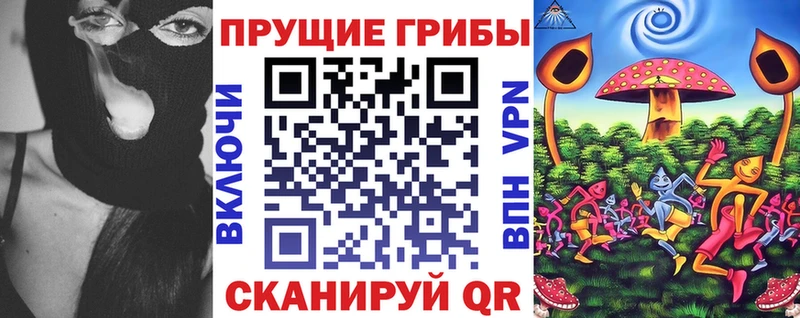 Псилоцибиновые грибы мицелий  Ленинградская 